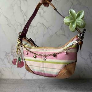 Stripped Coach Shoulder Bag